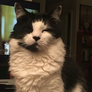 Meet your Posher, Alex